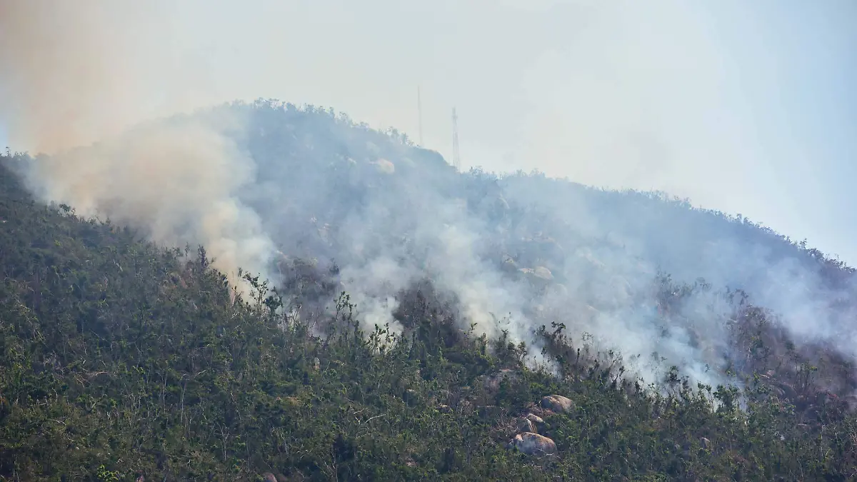 970076_Incendios forestales en Acaoulco-2_impreso